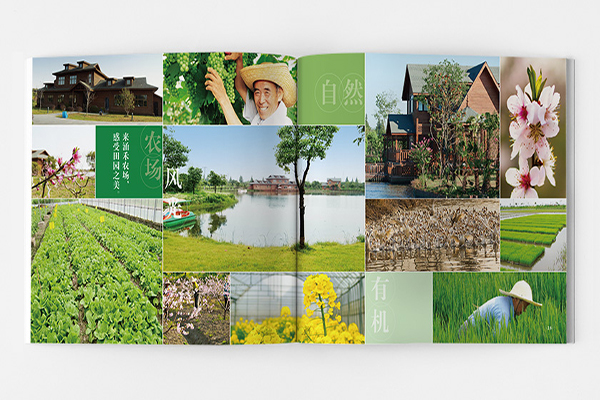 上海印刷画册设计