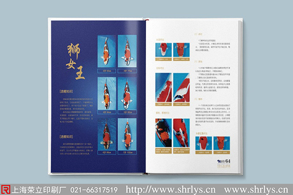 上海画册设计：好的画册设计分为几种类型?